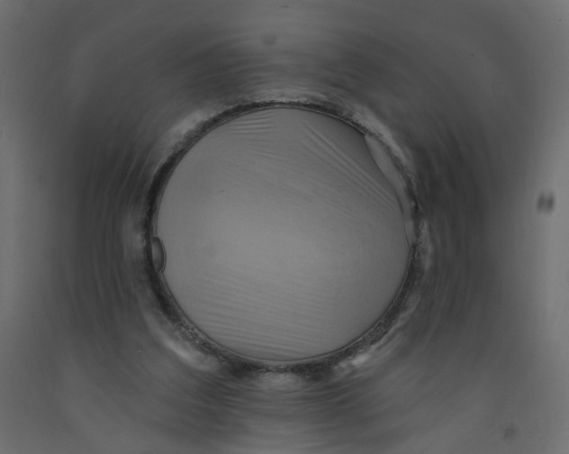 X0000092110203200710101150