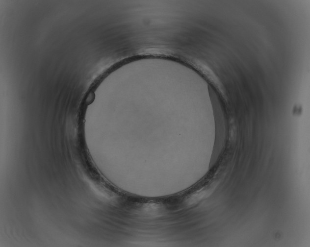 X0000092110204200710101150