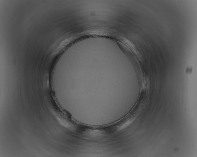 X0000092110205200710101150