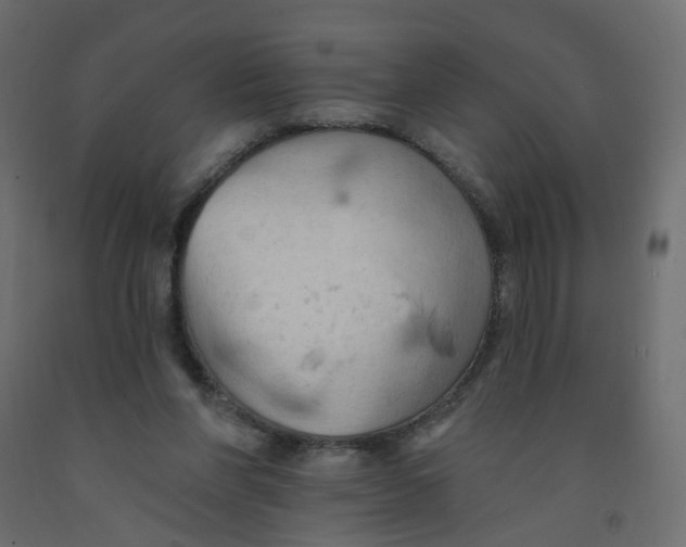 X0000092110206200710101150