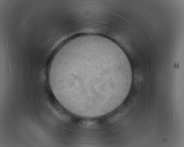 X0000092110208200710101150