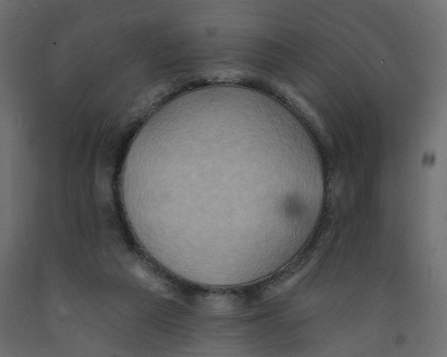 X0000092110209200710101150