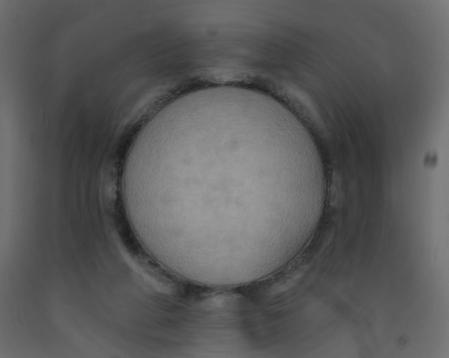 X0000092110210200710101150