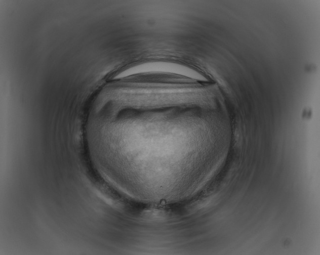 X0000092110211200710101150