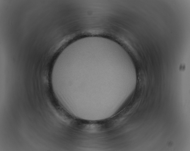 X0000092110212200710101150