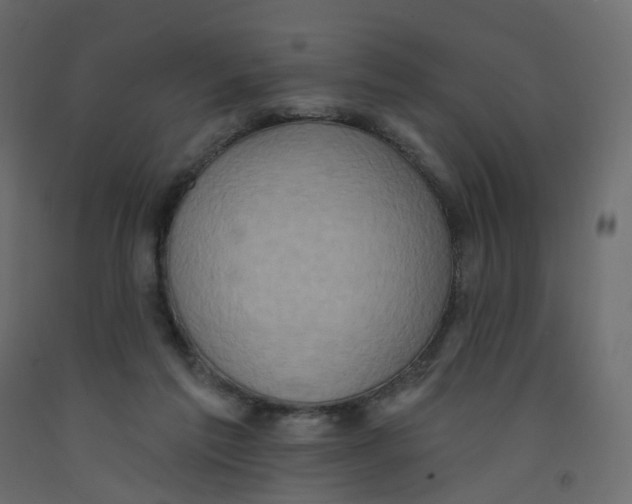 X0000092110213200710101150