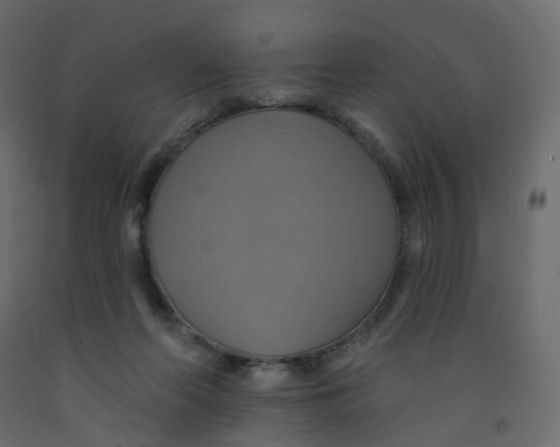 X0000092110214200710101150