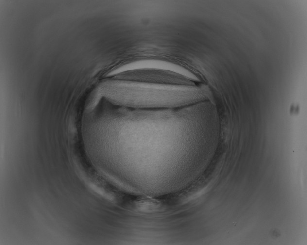 X0000092110215200710101150