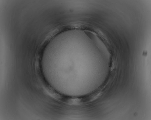 X0000092110217200710101150