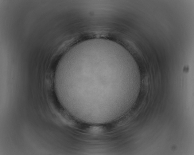 X0000092110218200710101150