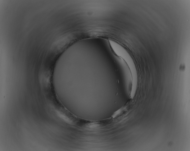 X0000092110219200710101150