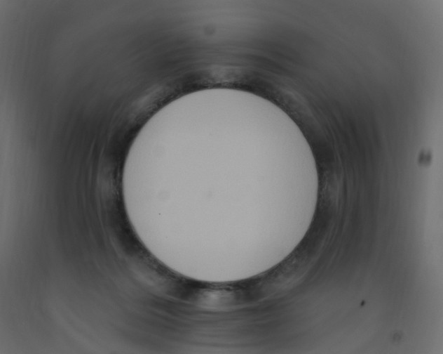 X0000092110220200710101150