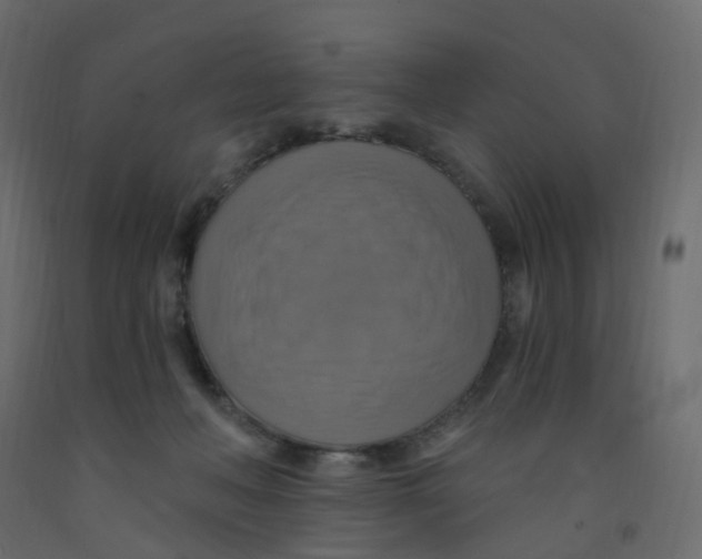 X0000092110222200710101150