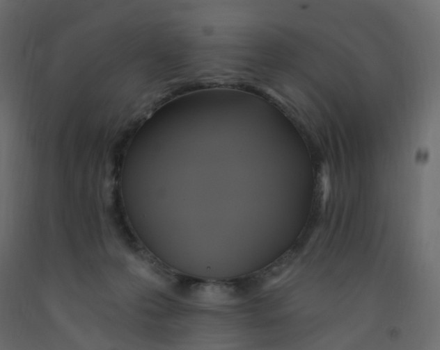 X0000092110223200710101150
