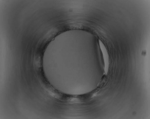 X0000092110224200710101150