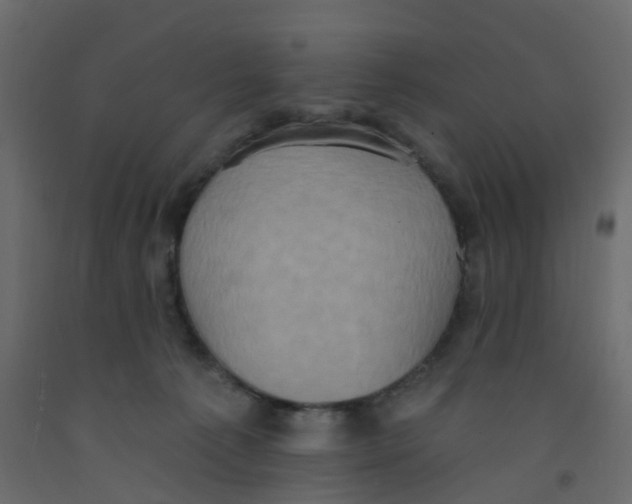X0000092110225200710101150