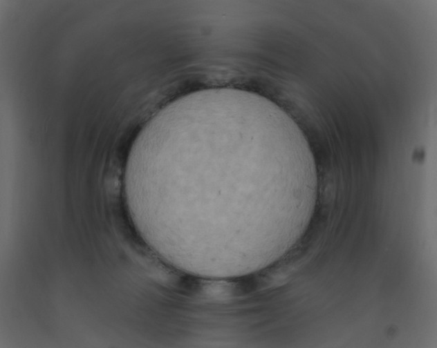X0000092110226200710101150
