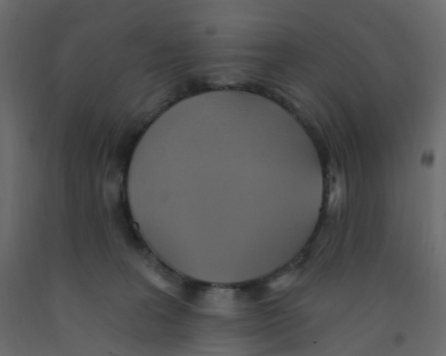 X0000092110227200710101150