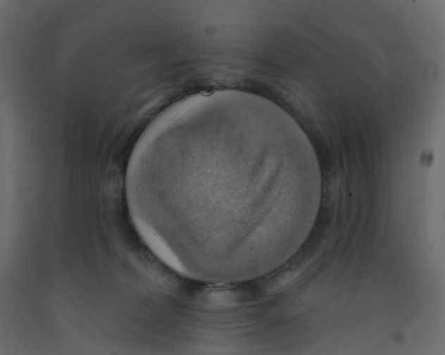 X0000092110228200710101150