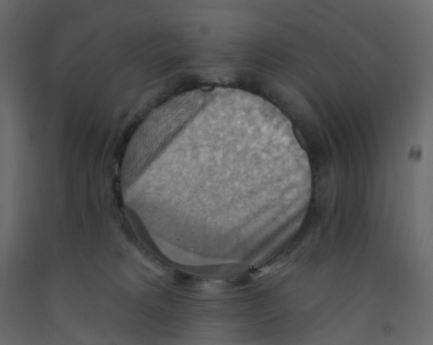 X0000092110229200710101150