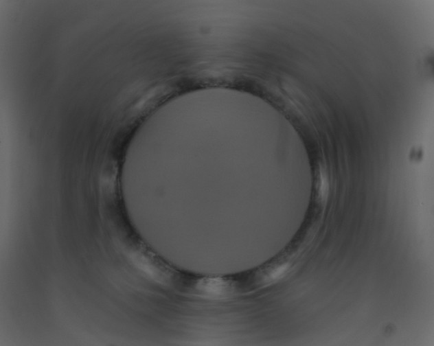 X0000092110231200710101150
