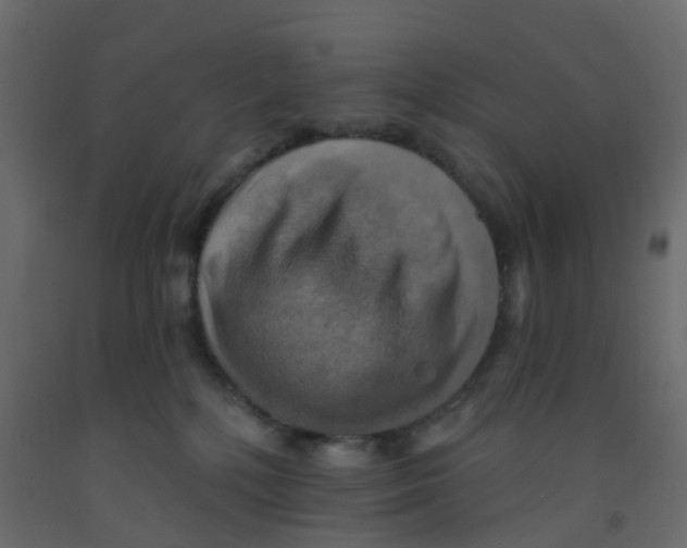 X0000092110232200710101150