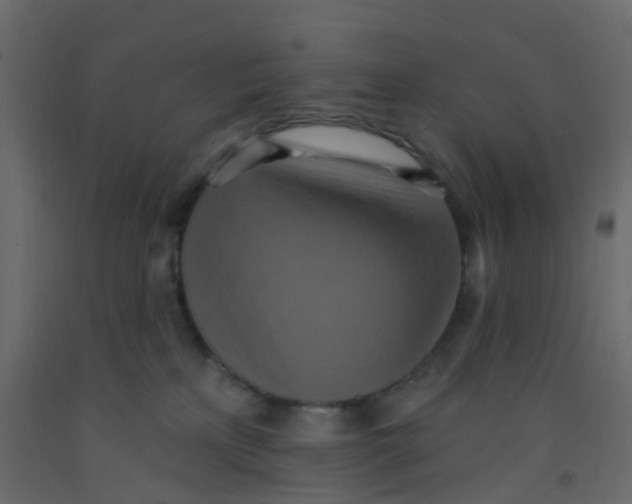 X0000092110233200710101150
