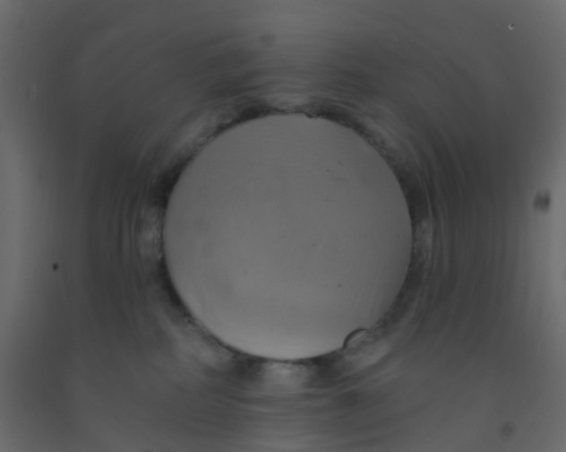X0000092110234200710101150