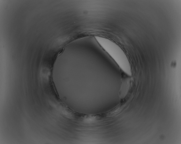 X0000092110235200710101150