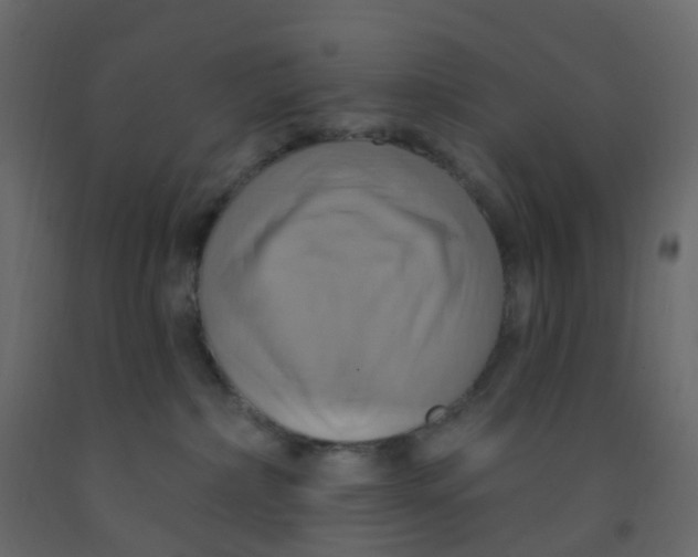 X0000092110236200710101150