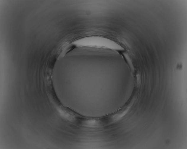 X0000092110237200710101150