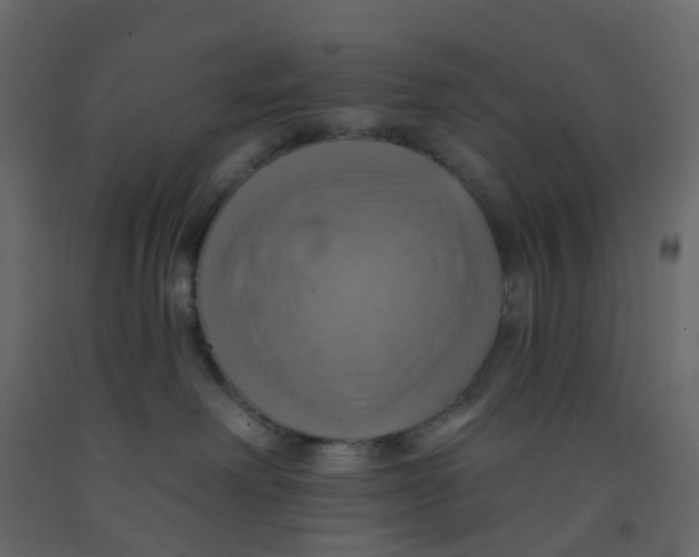X0000092110238200710101150