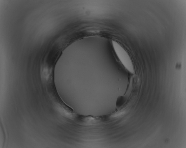 X0000092110239200710101150