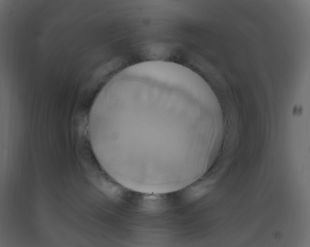 X0000092110240200710101150