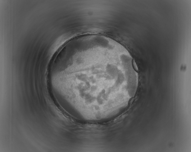 X0000092110242200710101149