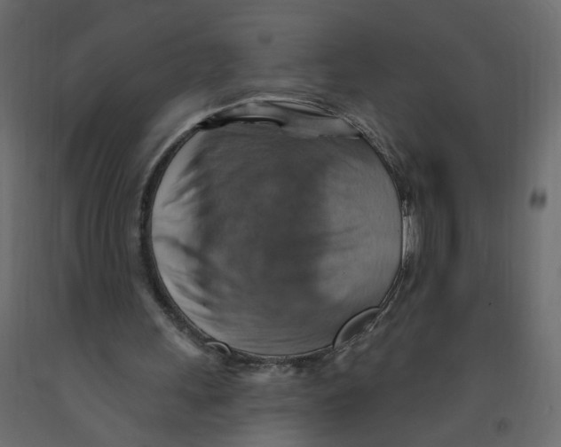 X0000092110243200710101149