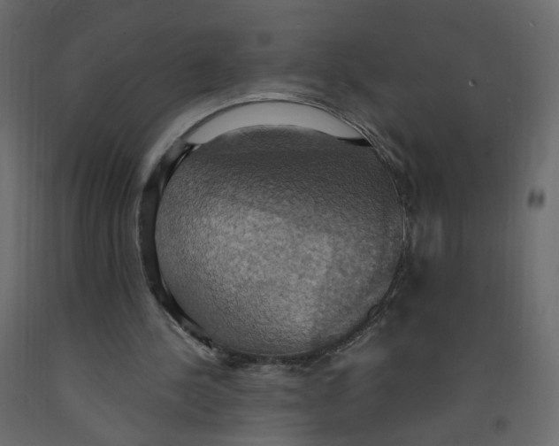 X0000092110244200710101149