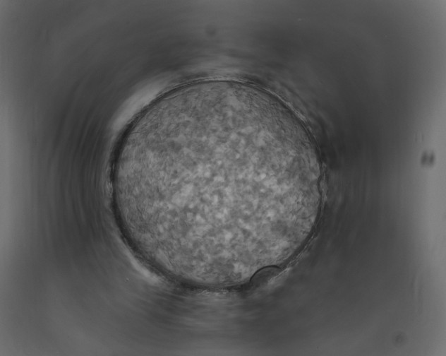 X0000092110245200710101149