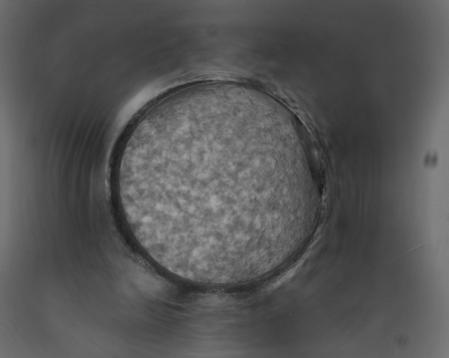 X0000092110246200710101149