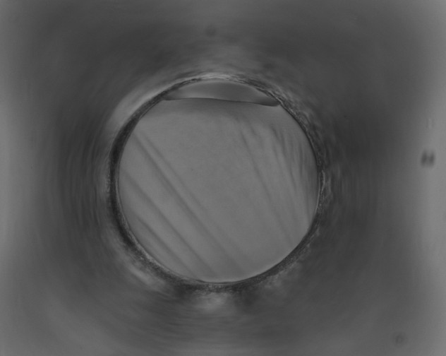 X0000092110247200710101149