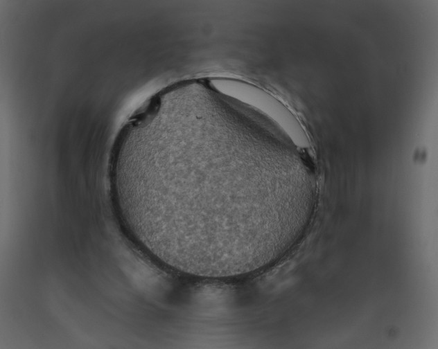 X0000092110248200710101149