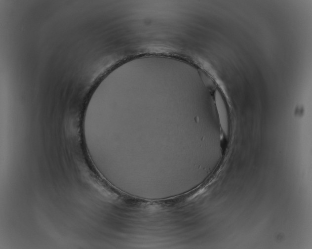 X0000092110249200710101149