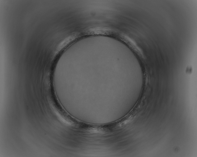 X0000092110250200710101149