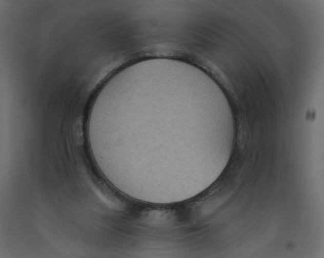 X0000092110251200710101149