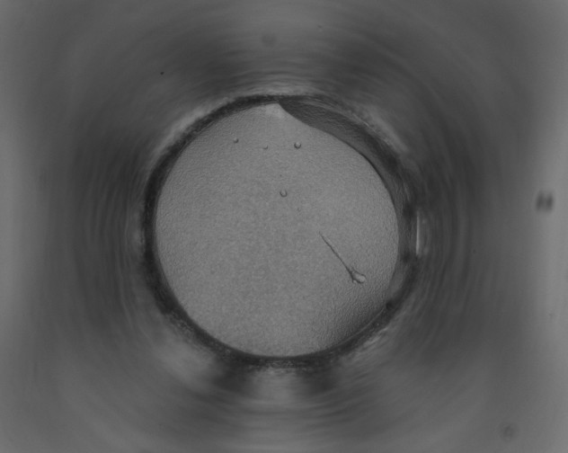 X0000092110252200710101149