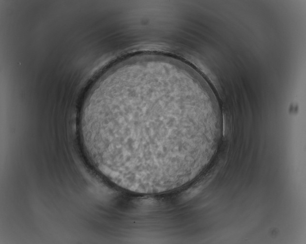 X0000092110253200710101149