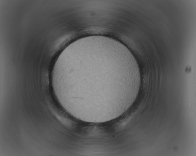 X0000092110254200710101149