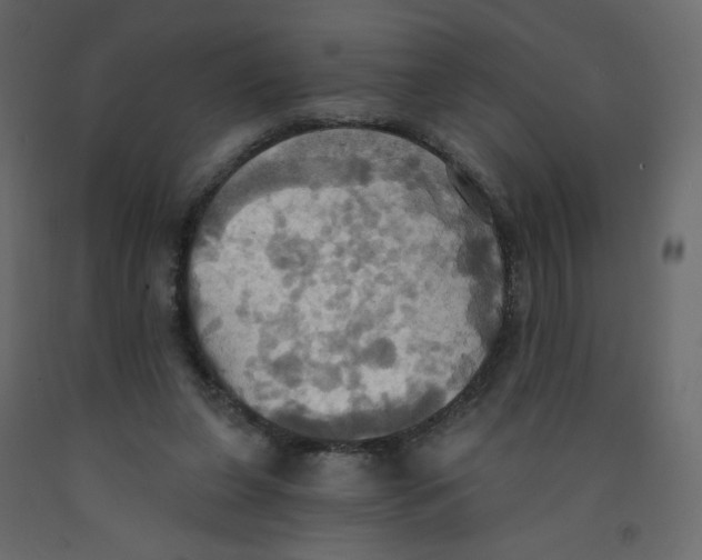 X0000092110255200710101149