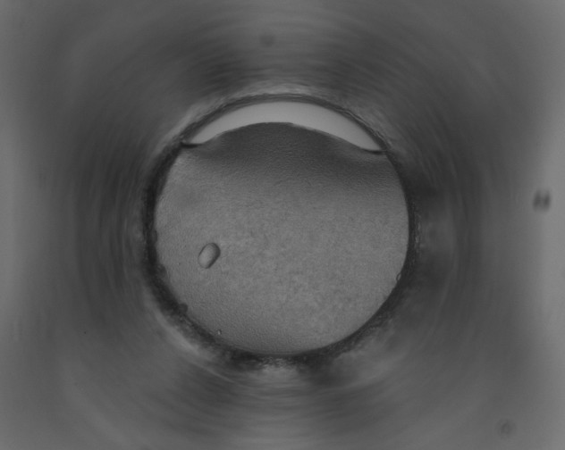 X0000092110256200710101149