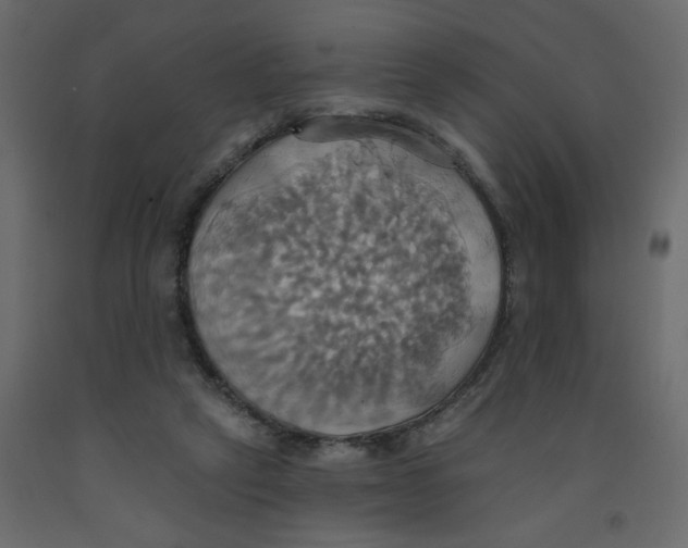 X0000092110257200710101149